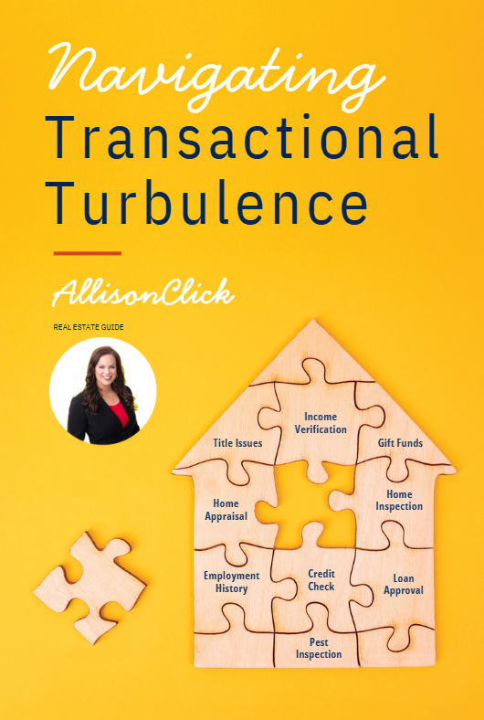 Navigating Transactional Turbulence by Allison Click